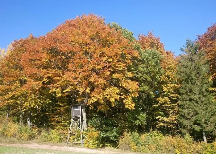 Апартаменты Alte Apotheke Rossdorf (Thuringia)