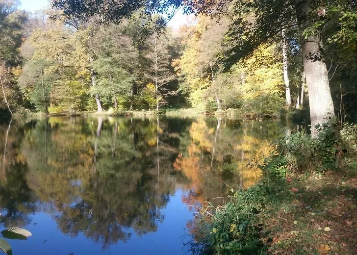 Alte Apotheke Apartman